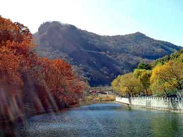 新澳天天开奖资料大全旅游团，上海冬虫夏草回收